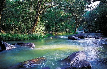 Coorg Tour